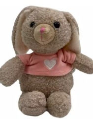 Coelho Animal Coração