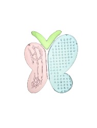 Mordedor c/ Água: Borboleta