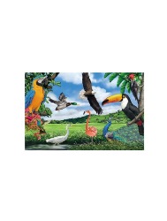Quebra-Cabeça: 100pçs - Aves